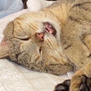 Meet your Posher, Bobbi